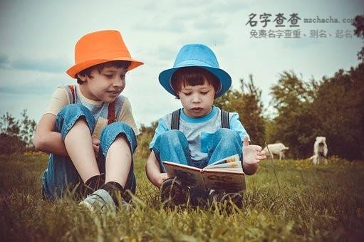 起名网好名字解析男孩