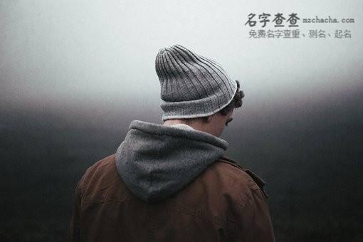 稽姓男孩起名鼠宝宝缺火