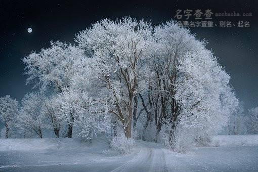 11月24出生男孩起名