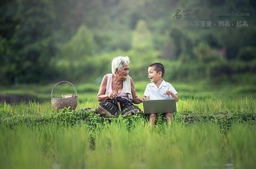 梦之花开润泽未来少女心✨